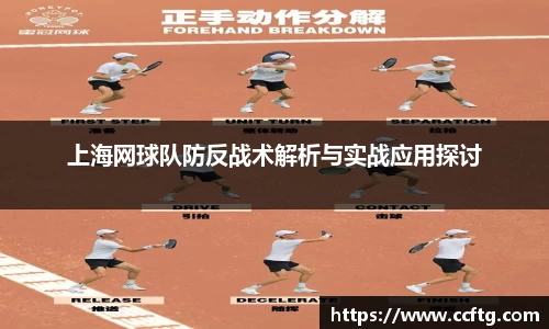 凤凰联盟登录入口